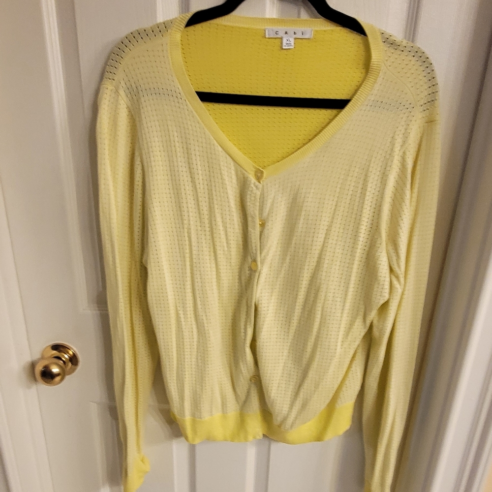 Casual Cabi sweater